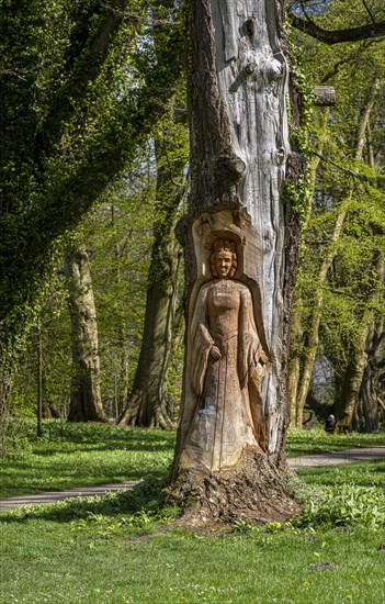 Wood carving in a tree trunk, park in Putbus, Ruegen, Mecklenburg-Vorpommern, Germany, Europe