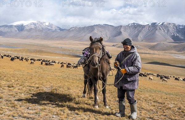 Nomadic life on a plateau, shepherd on horse, flock of sheep, dramatic high mountains, Tian Shan Mountains, Jety Oguz, Kyrgyzstan, Asia