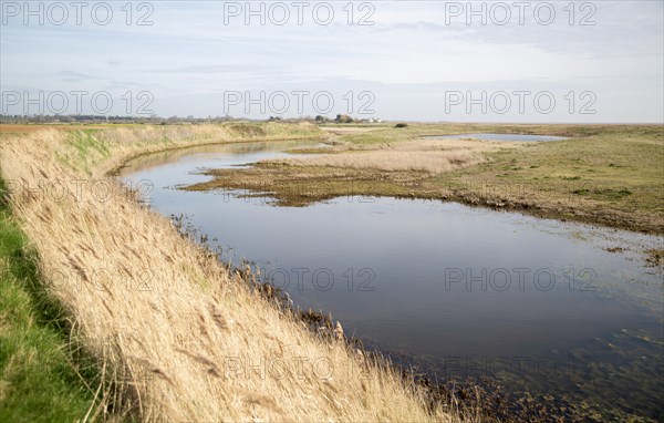 Lagoon water in slack of shingle beach, Hollesley Bay, near to Shingle Street, Suffolk, England, UK