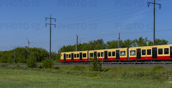 Suburban railway line in the landscape of Berlin Beech, Berlin, Germany, Europe