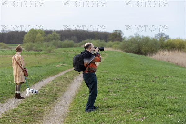 Elderly man photographing woman, dog, Elbtalaue near Bleckede, Lower Saxony, Germany, Europe