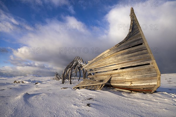 Monument Drakkar Leviathan, in the snow, mixture of Viking ship and dragon, Vardoe, Finmark, Northern Norway