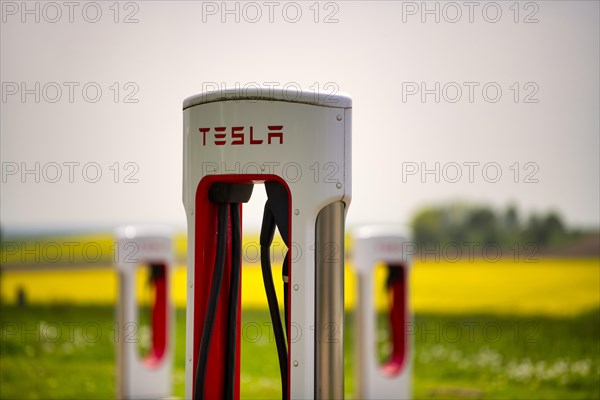 Tesla Supercharger in front of rapeseed field, logo, charging station for electric cars, charging station, e-charging station, e-mobility, Ulm, Baden-Wuerttemberg, Germany, Europe