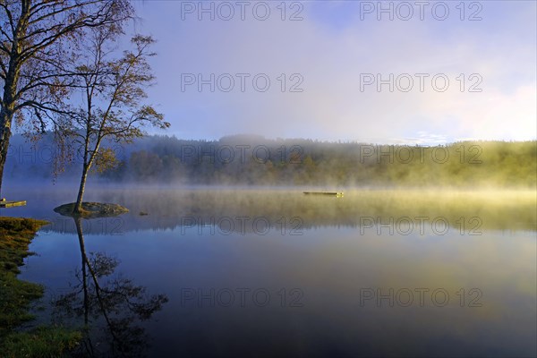 Sunrise and autumnal morning mist over a calm lake, foliage colouring, Bullaren, Bohuslaen. Sweden