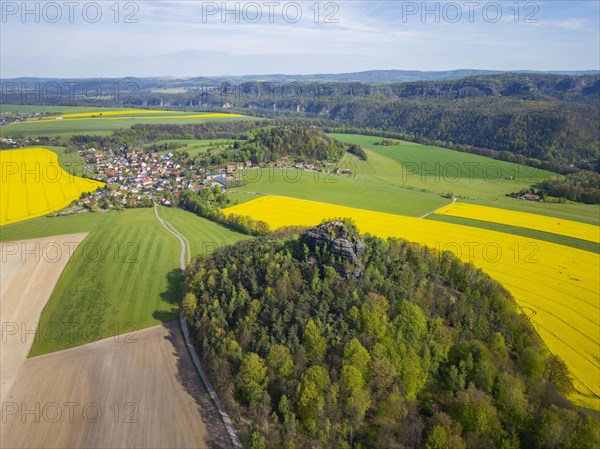 The Zirkelstein near Schoena in the Saxon district of Saechsische Schweiz-Osterzgebirge is a 384.5 metre high elevation in Saxon Switzerland and its smallest table mountain. In the background, the Kaiser's crown is a heavily abraded and jagged remnant of a table mountain which, together with the Zirkelstein, rises above the flatlands of Schoena, right on the edge of the town in the Elbe Sandstone Mountains in Saxony. Rape fields in bloom in spring, Reinhardtsdorf-Schoena, Saxony, Germany, Europe