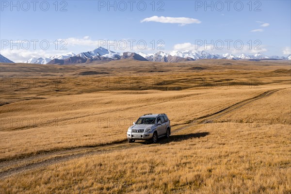 Off-road vehicle Toyota Land Cruiser driving on a track through yellow grass, behind glaciated mountain peaks of the Tien Shan Mountains, Sary Jaz Valley, Kyrgyzstan, Asia