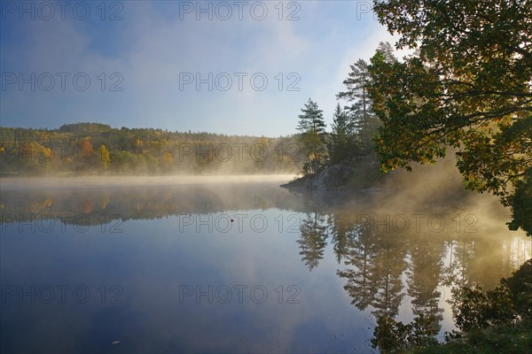 Sunrise and autumnal morning mist over a calm lake, foliage colouring, Bullaren, Bohuslaen. Sweden