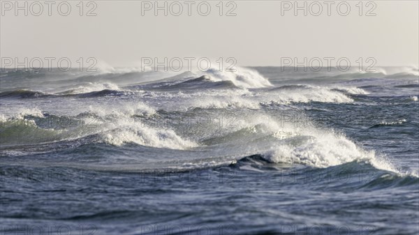Destination Spain, swimming in the sea, travel, holiday, holiday feeling, sea, waves, Playa del Matorral, bathing fun, relaxation, peace and nature, Fuerteventura, Spain, Europe