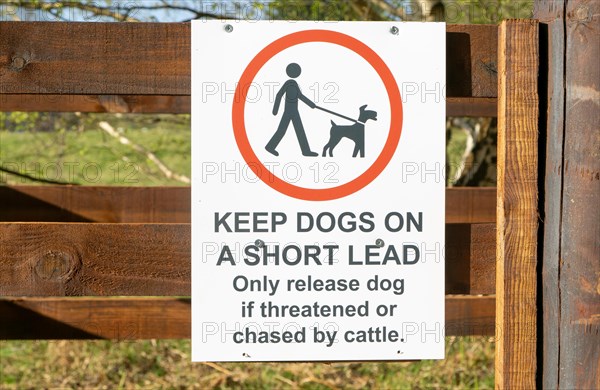 Keep Dogs on short lead, only release dog if threatened or chased by cattle, Suffolk Sandlings, Suffolk, England, UK