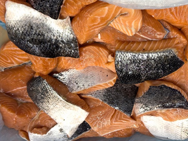Display of fish caught Pacific salmon (Oncorhynchus) in the form of small pieces of salmon fillet on ice in refrigerated counter fish counter of fishmonger fish sales, food trade, wholesale, fish trade, speciality shop, Germany, Europe