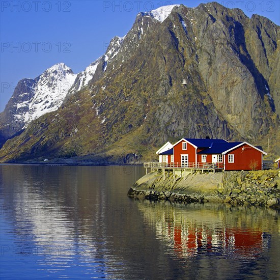 Rorbuer on the rocky shore of a fjord, holiday, winter, Hamnoey, Lofoten, Nordland, Norway, Europe