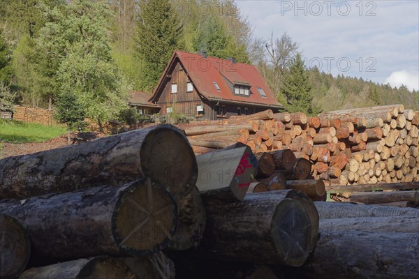 Sawmill in Rottal, Mainhardt Forest, Swabian-Franconian Forest Nature Park, Schwaebisch Hall, Hohenlohe, Heilbronn-Franconia, Baden-Wuerttemberg, Germany, Europe