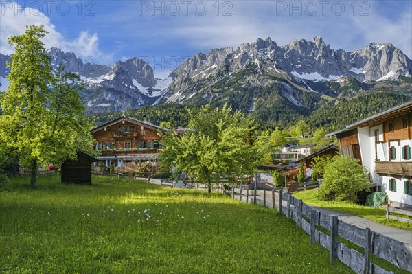 Farmhouse in Going am Wilden Kaiser, trees and blue sky, Kaiser Mountains, Going am Wilden Kaiser, Tyrol, Austria, Europe