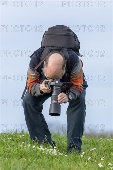 Elderly man photographing flowers, Elbtalaue near Bleckede, Lower Saxony, Germany, Europe