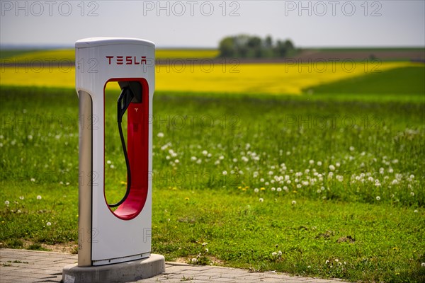 Tesla Supercharger in front of rapeseed field, logo, charging station for electric cars, charging station, e-charging station, e-mobility, Ulm, Baden-Wuerttemberg, Germany, Europe