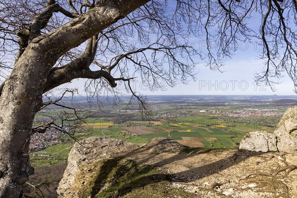 Breitenstein near Ochsenwang in spring, rocky outcrop of the Swabian Alb, 811 metre high rocky plateau, view of the foothills of the Alb, Bissingen an der Teck, Baden-Wuerttemberg, Germany, Europe