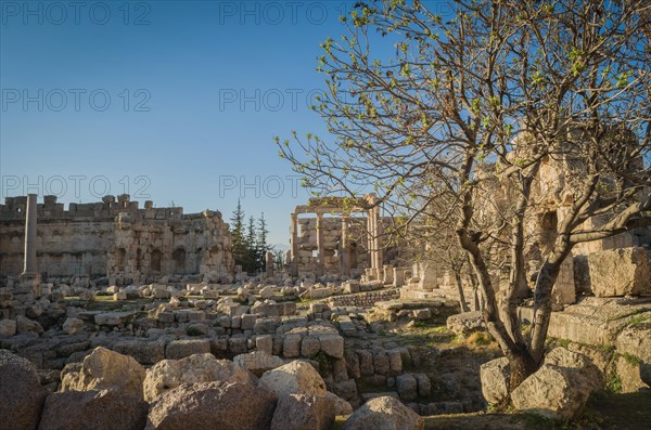 Ruins of Baalbek. Ancient city of Phenicia located in the Beca valley in Lebanon. Acropolis with Roman remains