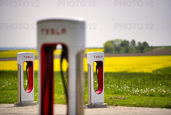 Tesla Supercharger in front of rapeseed field, logo, charging station for electric cars, charging station, e-charging station, e-mobility, Ulm, Baden-Wuerttemberg, Germany, Europe