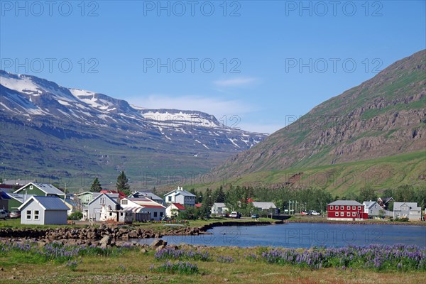Small village under snow-covered, rugged mountains, ferry town, Seydisfjoerdur, East Iceland, Iceland, Europe