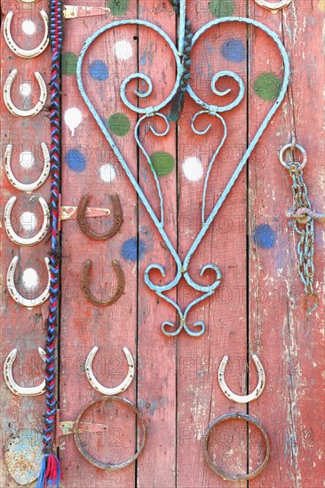 Adorned door, Harran traditional village, Turkey, Asia