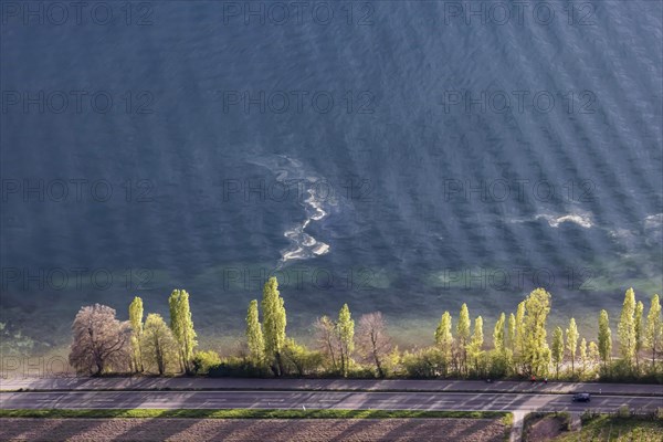 Shore of Lake Constance in spring, pollen floating in the water, aerial view from a zeppelin, Meersburg, Baden-Wuerttemberg, Germany, Europe