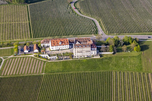 Zeppelin flight along the shore of Lake Constance, aerial view, Kirchberg Castle with vineyards, Immenstaad, Baden-Wuerttemberg, Germany, Europe