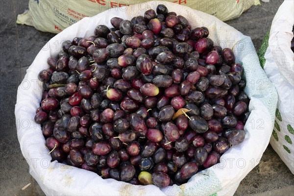Bags filled with olives, Mardin bazaar, Turkey, Asia