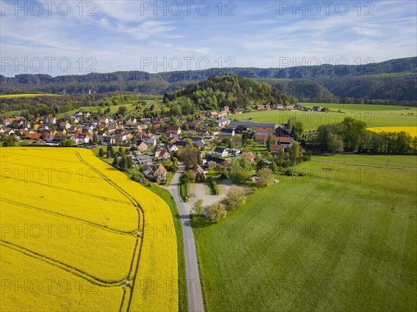 The Kaiser's crown is a heavily abraded and jagged remnant of a table mountain which, together with the Zirkelstein, rises above the flatlands of Schoena, right on the edge of the village in the Elbe Sandstone Mountains in Saxony. Rape fields in bloom in spring, Reinhardtsdorf-Schoena, Saxony, Germany, Europe