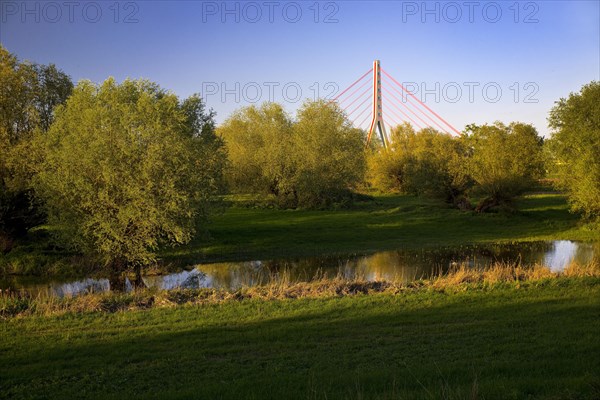 Fleher Bridge at the Uedesheim bend in the Rhine, nature reserve, Neuss, Lower Rhine, North Rhine-Westphalia, Germany, Europe