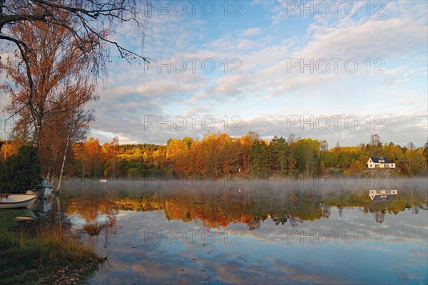 Sunrise and autumnal morning mist over a calm lake, foliage colouring, Bullaren, Bohuslaen. Sweden