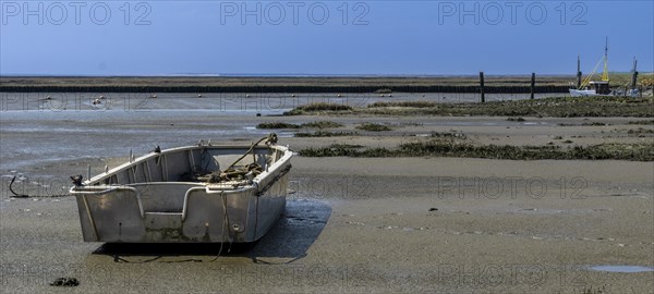 North Sea, Wadden Sea at low tide, Sankt-Peter Ording, Schleswig-Holstein, Germany, Europe