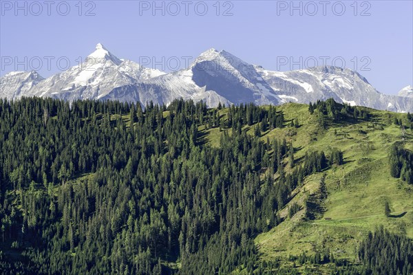 View of the Grossglockner, alpine meadow with forest, blue sky, mountains with snow, Pongau, Salzburg, Austria, Europe