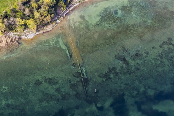 Shore of Lake Constance, turquoise-coloured water, aerial view, top-down, aerial view, Immenstaad am Lake Constance, Baden-Wuerttemberg, Germany, Europe