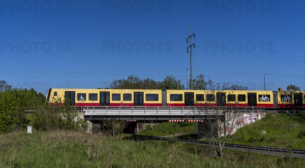 Suburban railway line in the landscape of Berlin Beech, Berlin, Germany, Europe