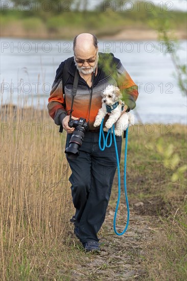 Elderly man carrying Bolonka Zwetna dog over mud, Elbe, Elbtalaue near Bleckede, Lower Saxony, Germany, Europe