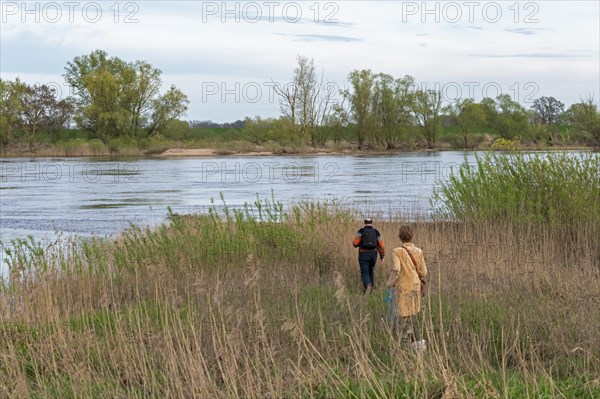 Woman and man walking to the riverbank, Elbe, Elbtalaue near Bleckede, Lower Saxony, Germany, Europe