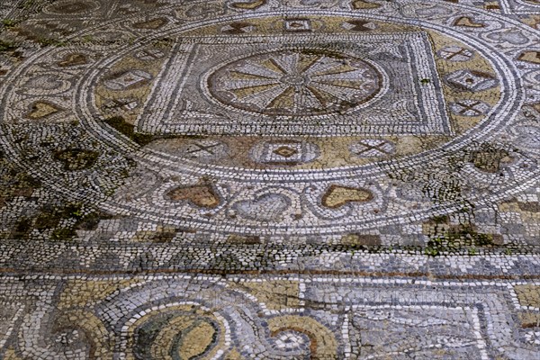 Floor mosaic, Archaeological Museum, former hospital of the Order of St John, 15th century, Old Town, Rhodes Town, Greece, Europe
