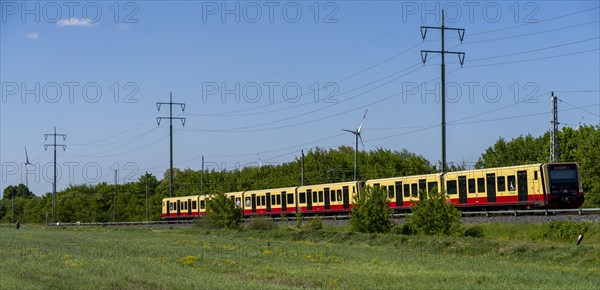 Suburban railway line in the landscape of Berlin Beech, Berlin, Germany, Europe