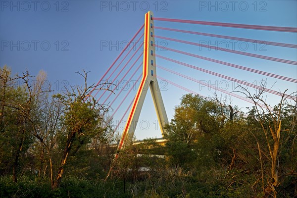 Nature reserve at the Uedesheim Rhine bend with Fleher Bridge over the Rhine, Neuss, Lower Rhine, North Rhine-Westphalia, Germany, Europe