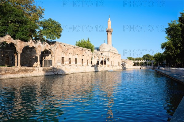 Abraham's Pool where the prophet was thrown into fire by King Nimrod, Sanliurfa, Turkey, Asia