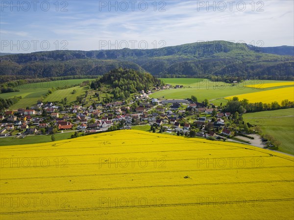 The Kaiser's crown is a heavily abraded and jagged remnant of a table mountain which, together with the Zirkelstein, rises above the flatlands of Schoena, right on the edge of the village in the Elbe Sandstone Mountains in Saxony. Rape fields in bloom in spring, Reinhardtsdorf-Schoena, Saxony, Germany, Europe