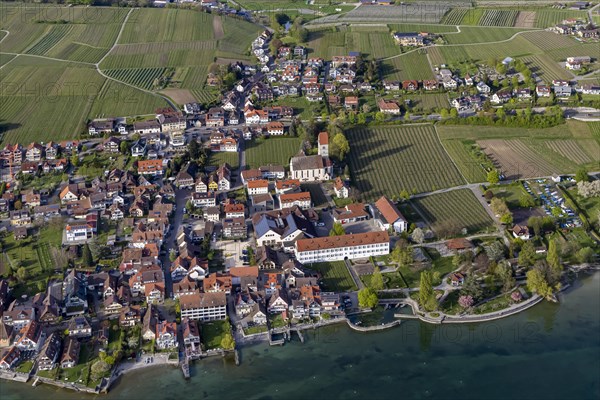 Zeppelin flight over the shore of Lake Constance, vineyards and church, aerial view, Hagnau, Baden-Wuerttemberg, Germany, Europe