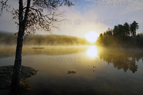 Sunrise and autumnal morning mist over a calm lake, foliage colouring, Bullaren, Bohuslaen. Sweden