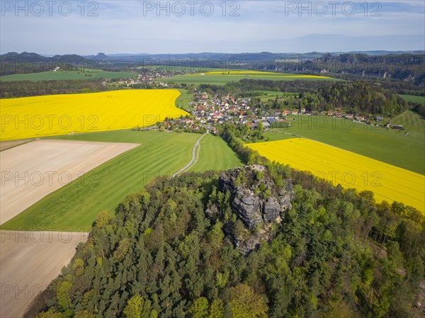 The Zirkelstein near Schoena in the Saxon district of Saechsische Schweiz-Osterzgebirge is a 384.5 metre high elevation in Saxon Switzerland and its smallest table mountain. In the background, the Kaiser's crown is a heavily abraded and jagged remnant of a table mountain which, together with the Zirkelstein, rises above the flatlands of Schoena, right on the edge of the town in the Elbe Sandstone Mountains in Saxony. Rape fields in bloom in spring, Reinhardtsdorf-Schoena, Saxony, Germany, Europe