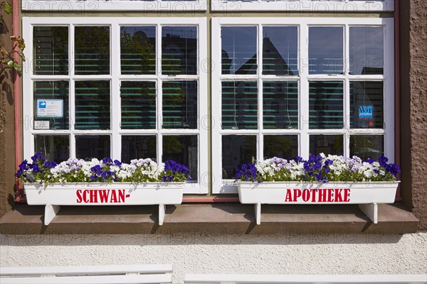 Window with flower boxes of the Swan pharmacy in the city centre of Husum, Nordfriesland district, Schleswig-Holstein, Germany, Europe