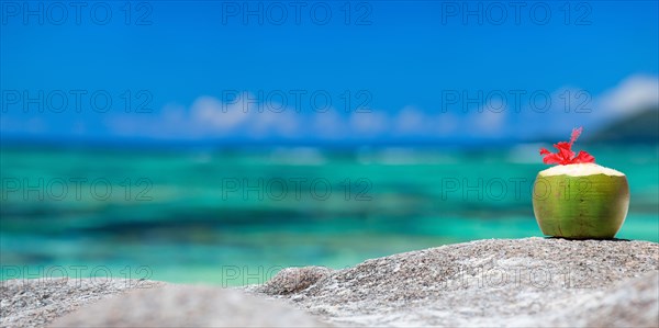 A fresh coconut on the beach, La Digue, Indian Ocean, Seychelles, Africa