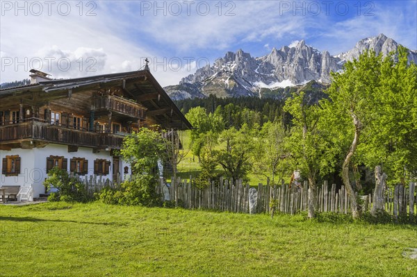Wilder Kaiser with farmhouse, trees, Going am Wilden Kaiser, Tyrol, Austria, Europe