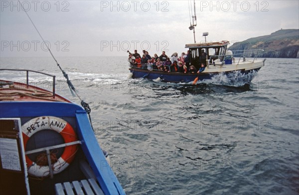 Dolphin tour, people, tour boat, Dolphin, Dolphin Peninsula, Republic of Ireland, April 1996, vintage, retro, old, historic