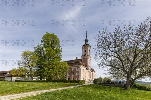 Birnau pilgrimage church, baroque church on the north shore of Lake Constance, Uhldingen-Muehlhofen, Baden-Wuerttemberg, Germany, Europe