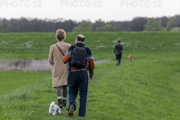 Man and woman walking Bolonka Zwetna dog, Elbtalaue near Bleckede, Lower Saxony, Germany, Europe